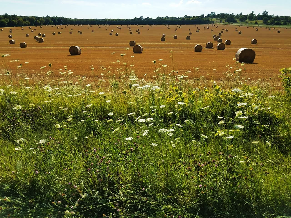 Lower Kettle Moraine A Wisconsin Motorcycle Day Trip TRO